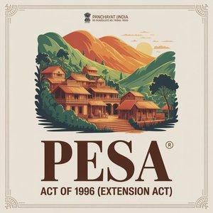 PESA Act of 1996 (Extension Act)