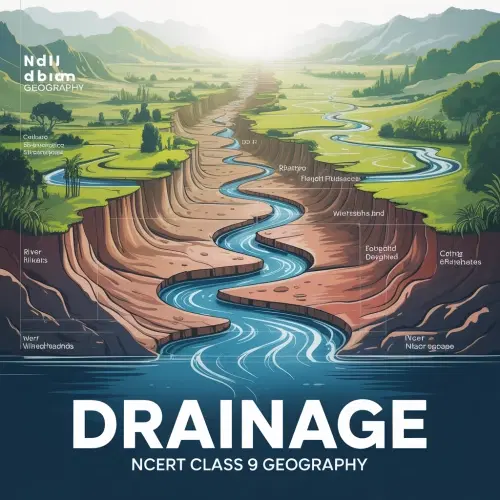 Drainage
